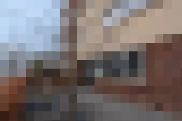 Henricapolder 3 Amersfoort thumbnail 9