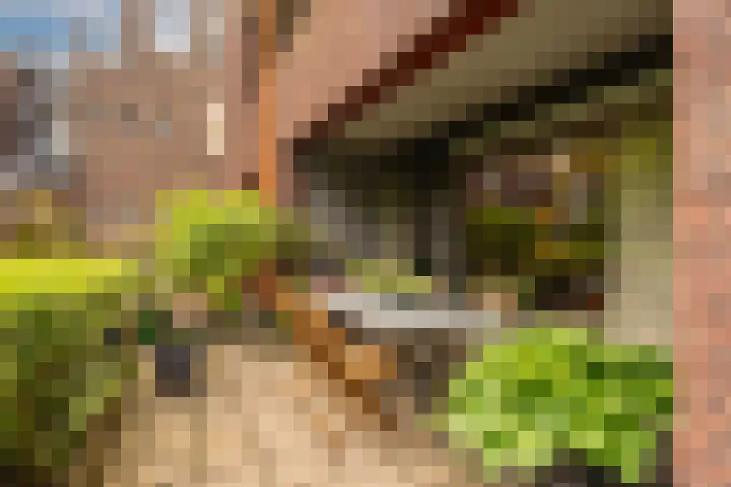 Henrick de Keijserplein 19 Amsterdam thumbnail 17