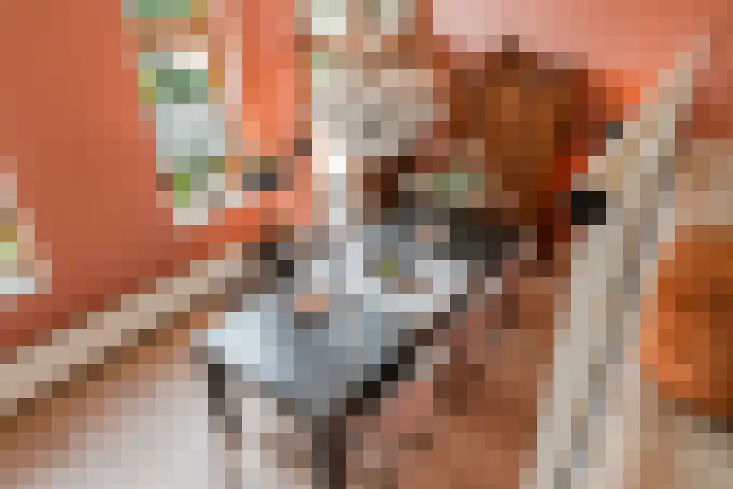 Henrick de Keijserplein 19 Amsterdam thumbnail 32