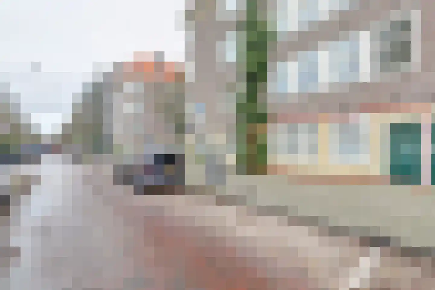 Henrick de Keijserplein 5 3 Amsterdam thumbnail 22