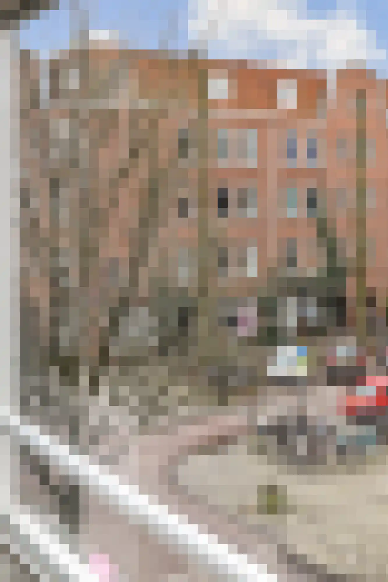 Henrick de Keijserstraat 23 2 Amsterdam thumbnail 10