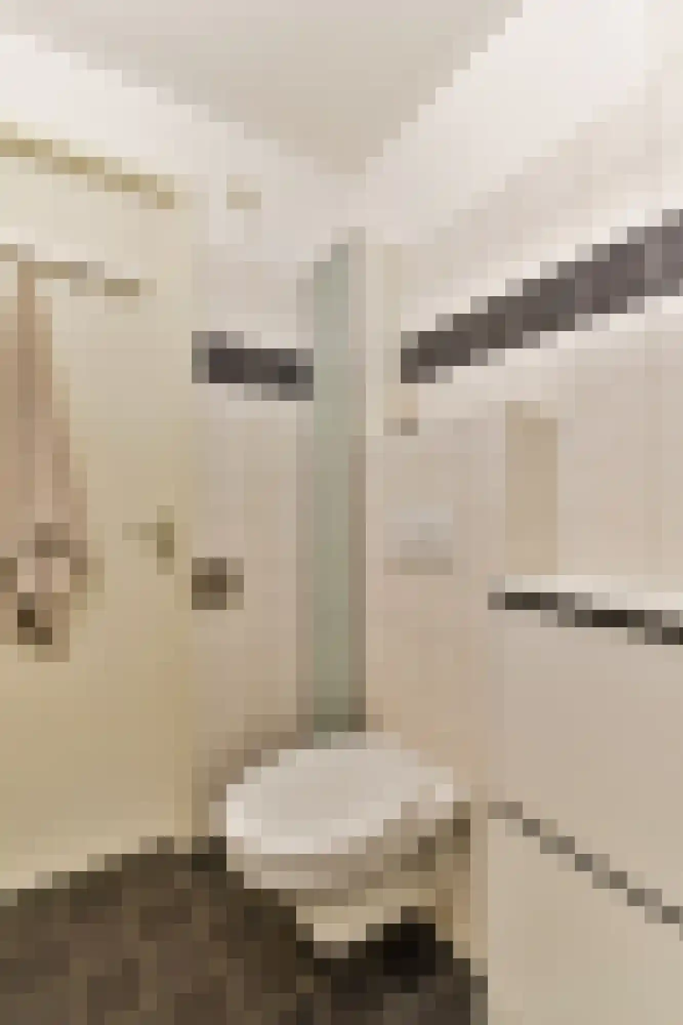 Henrick de Keijserstraat 23 2 Amsterdam thumbnail 19