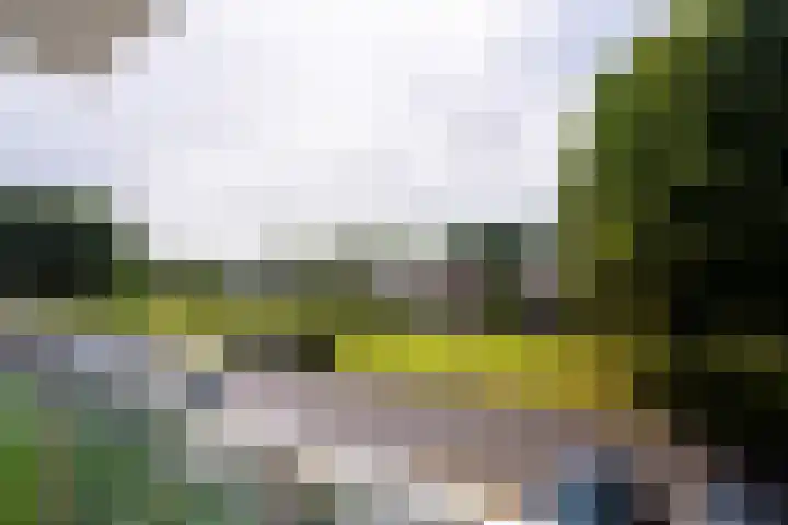 Henricus Muntinglaan 16 Haren Gn thumbnail 4