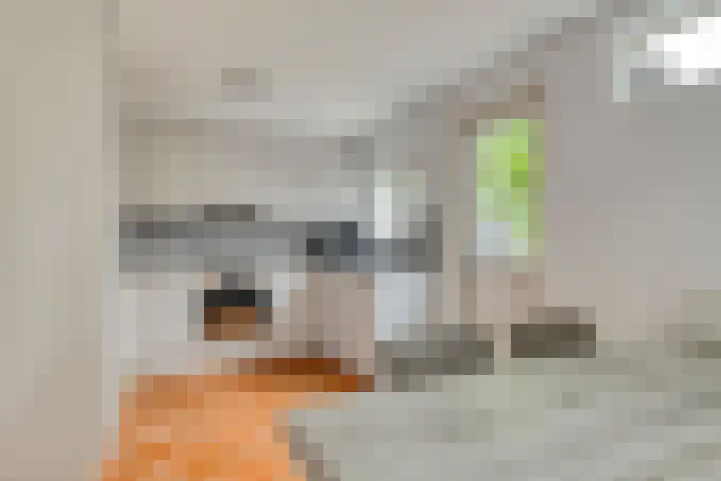 Henricus van Cappenbergweg 32 Kloosterburen thumbnail 13