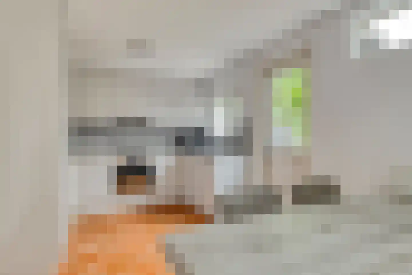 Henricus van Cappenbergweg 32 Kloosterburen thumbnail 20