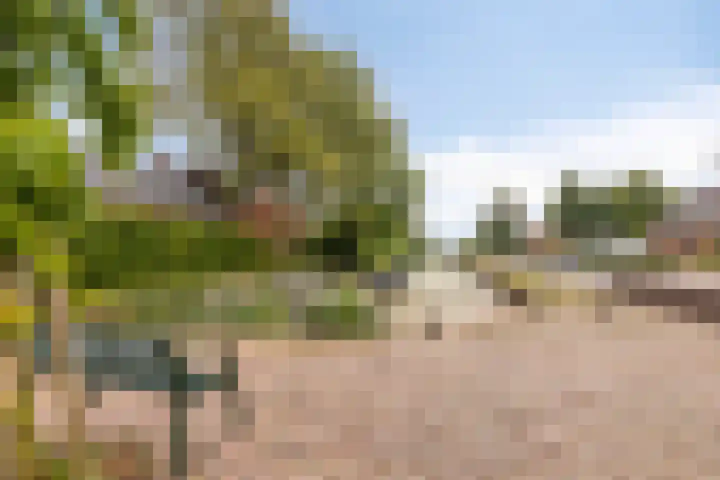 Henricus van Cappenbergweg 32 Kloosterburen thumbnail 46