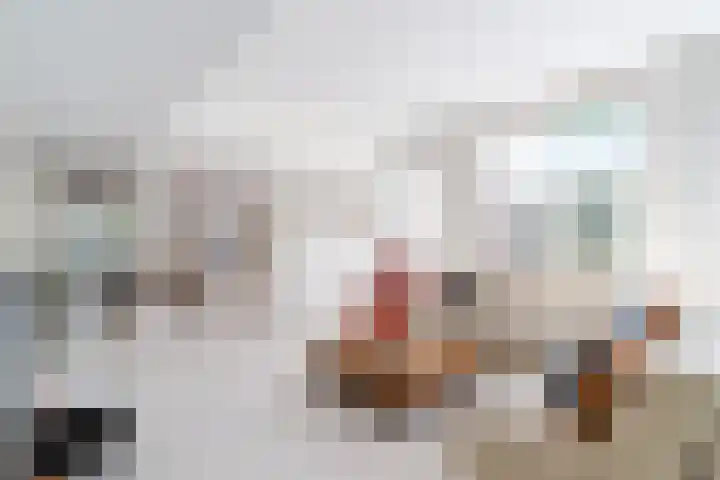 Henricuskade 275 Den Haag thumbnail 15
