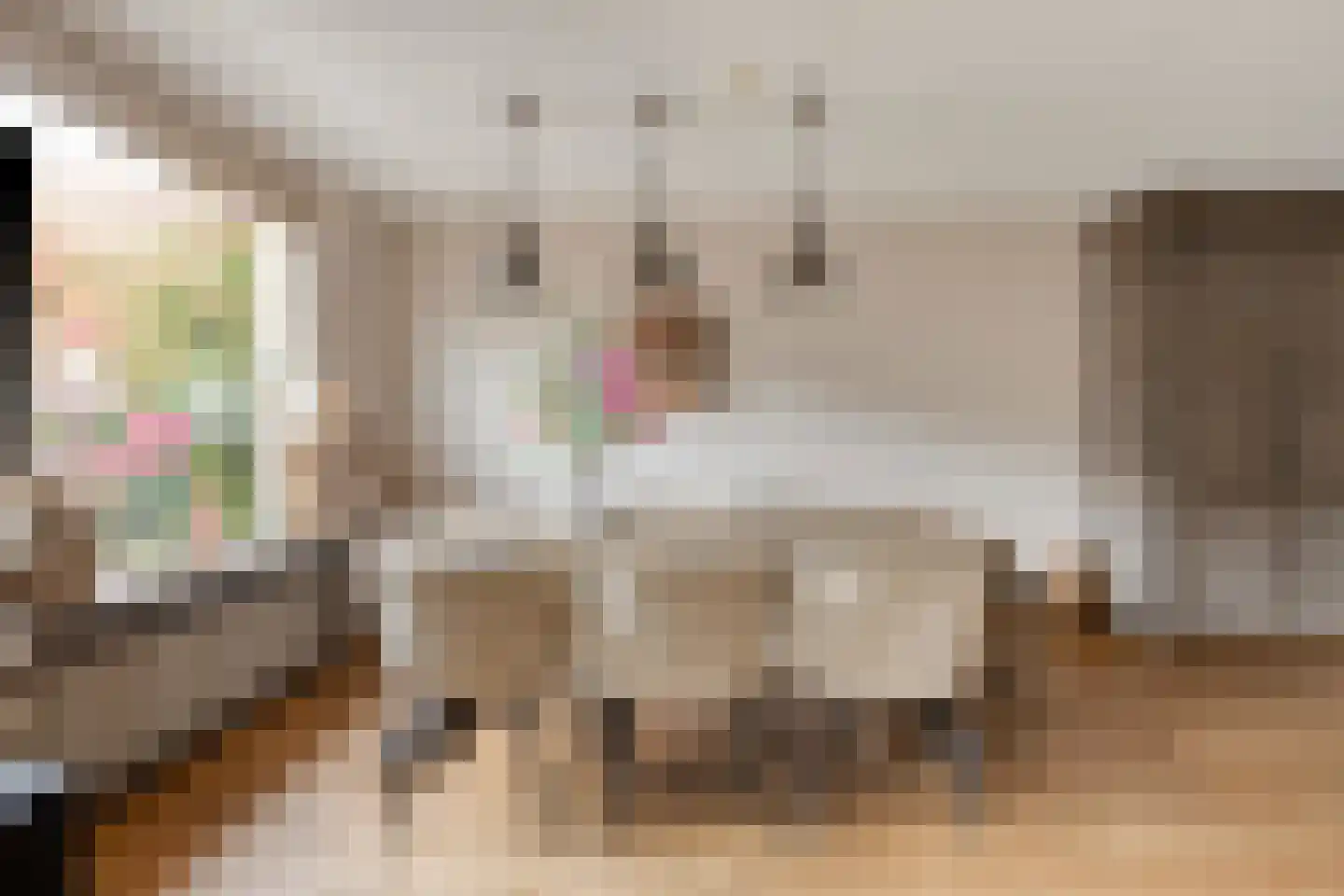 Henriëtte Bosmanslaan 14 Maassluis thumbnail 18