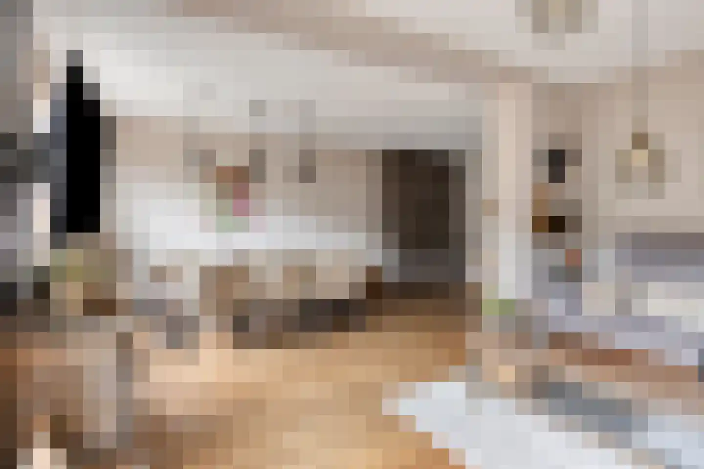 Henriëtte Bosmanslaan 14 Maassluis thumbnail 19