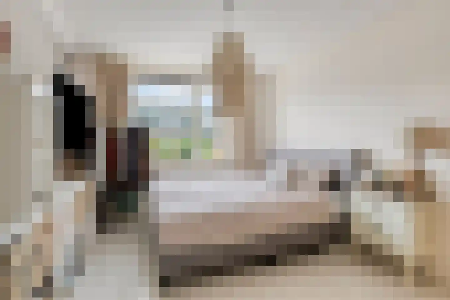 Henriëtte Bosmanslaan 14 Maassluis thumbnail 8