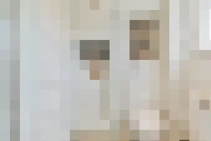 Henriëtte Bosmanslaan 17 Amstelveen thumbnail 17