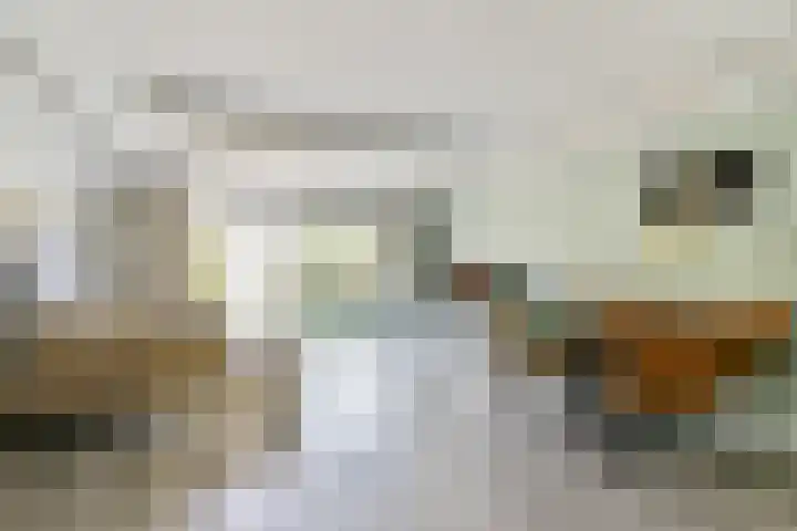 Henriëtte Bosmanslaan 17 Amstelveen thumbnail 4