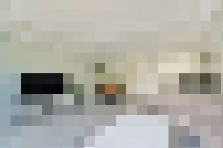 Henriëtte Bosmanslaan 17 Amstelveen thumbnail 7