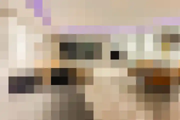 Henriëtte Bosmanslaan 17 Amstelveen thumbnail 8