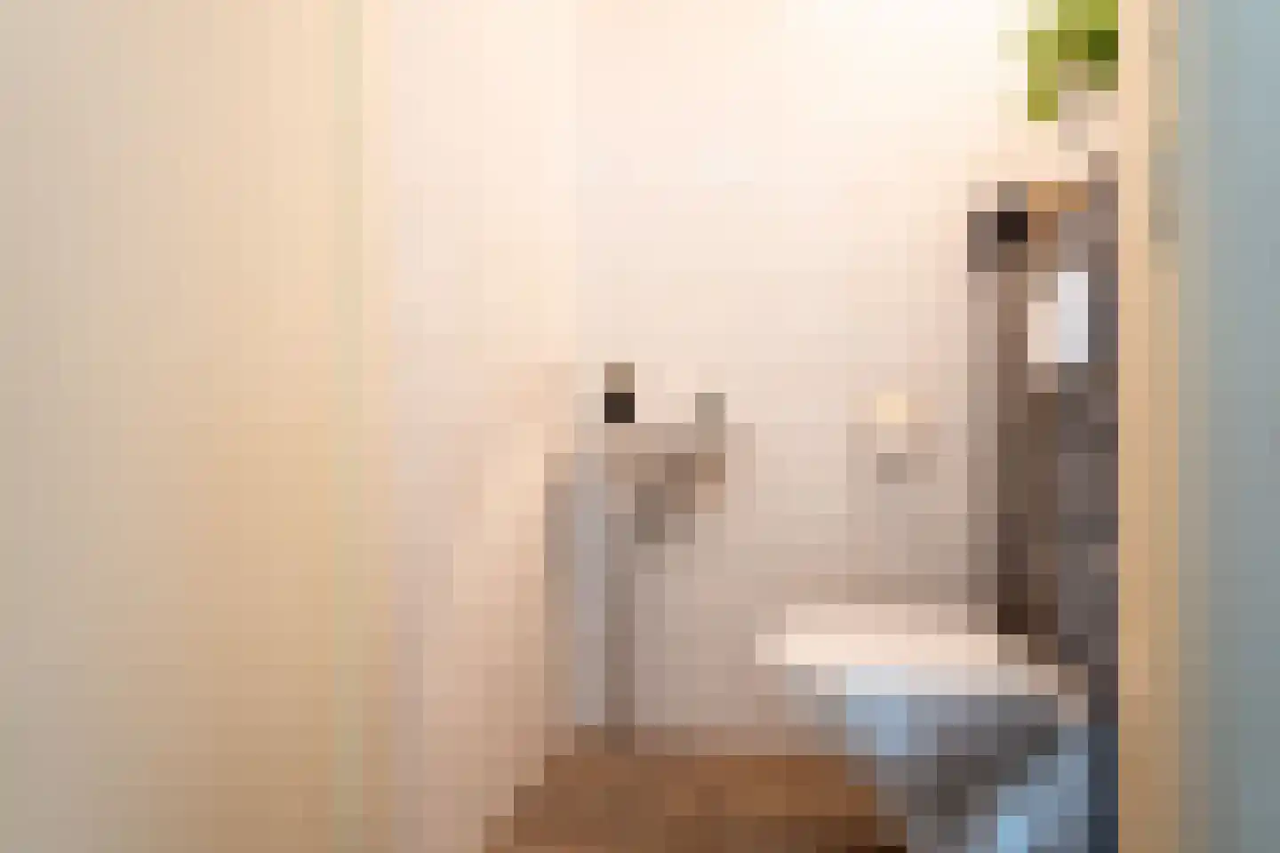 Henriëtte Bosmanslaan 22 Maassluis thumbnail 17