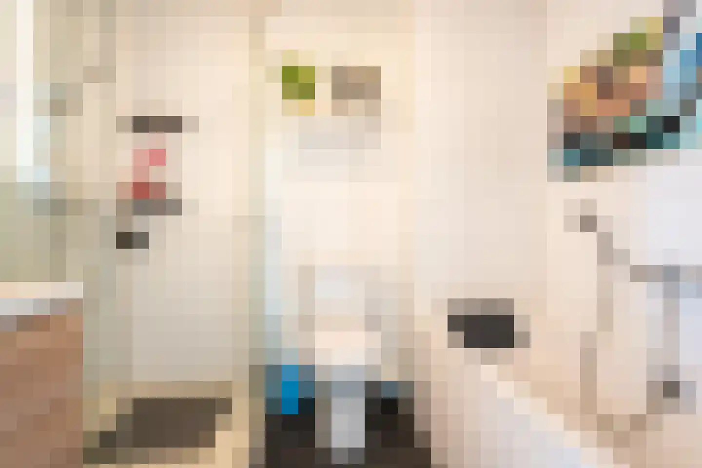 Henriëtte Bosmanslaan 22 Maassluis thumbnail 23