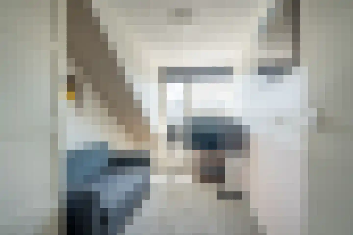 Henriëtte Bosmanslaan 22 Maassluis thumbnail 29