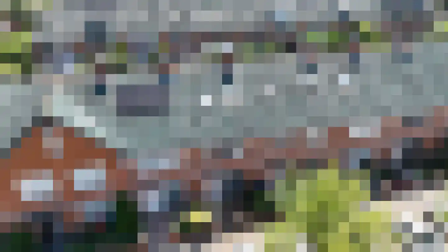Henriëtte Bosmanslaan 22 Maassluis thumbnail 4