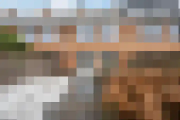 Henriëtte Bosmanslaan 27 Maassluis thumbnail 14