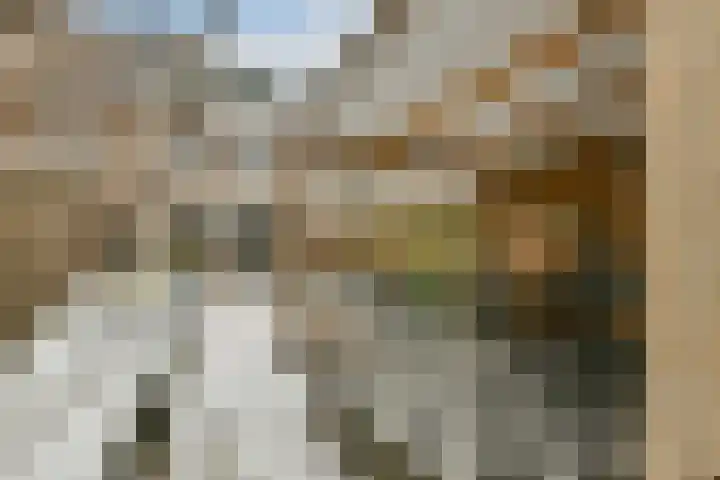 Henriëtte Bosmanslaan 4 Amstelveen thumbnail 15
