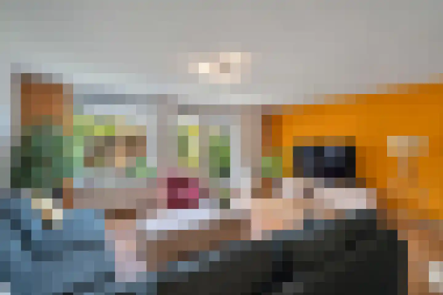 Henriëtte Bosmanslaan 5 Maassluis thumbnail 15