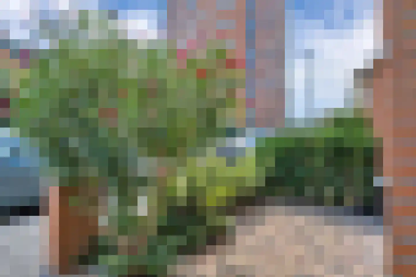 Henriëtte Bosmanslaan 5 Maassluis thumbnail 6