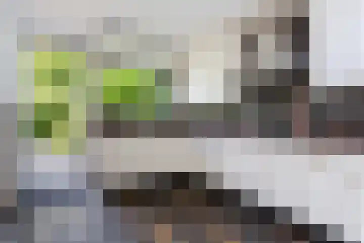 Henriëtte Bosmanslaan 5 Rotterdam thumbnail 6