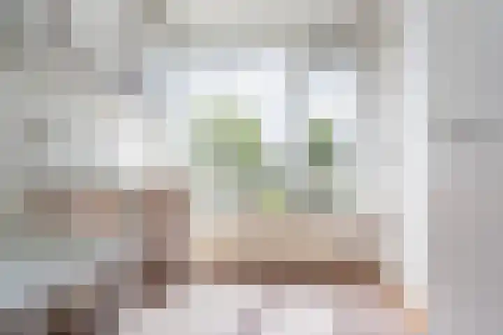Henriëtte Bosmanslaan 5 Rotterdam thumbnail 8