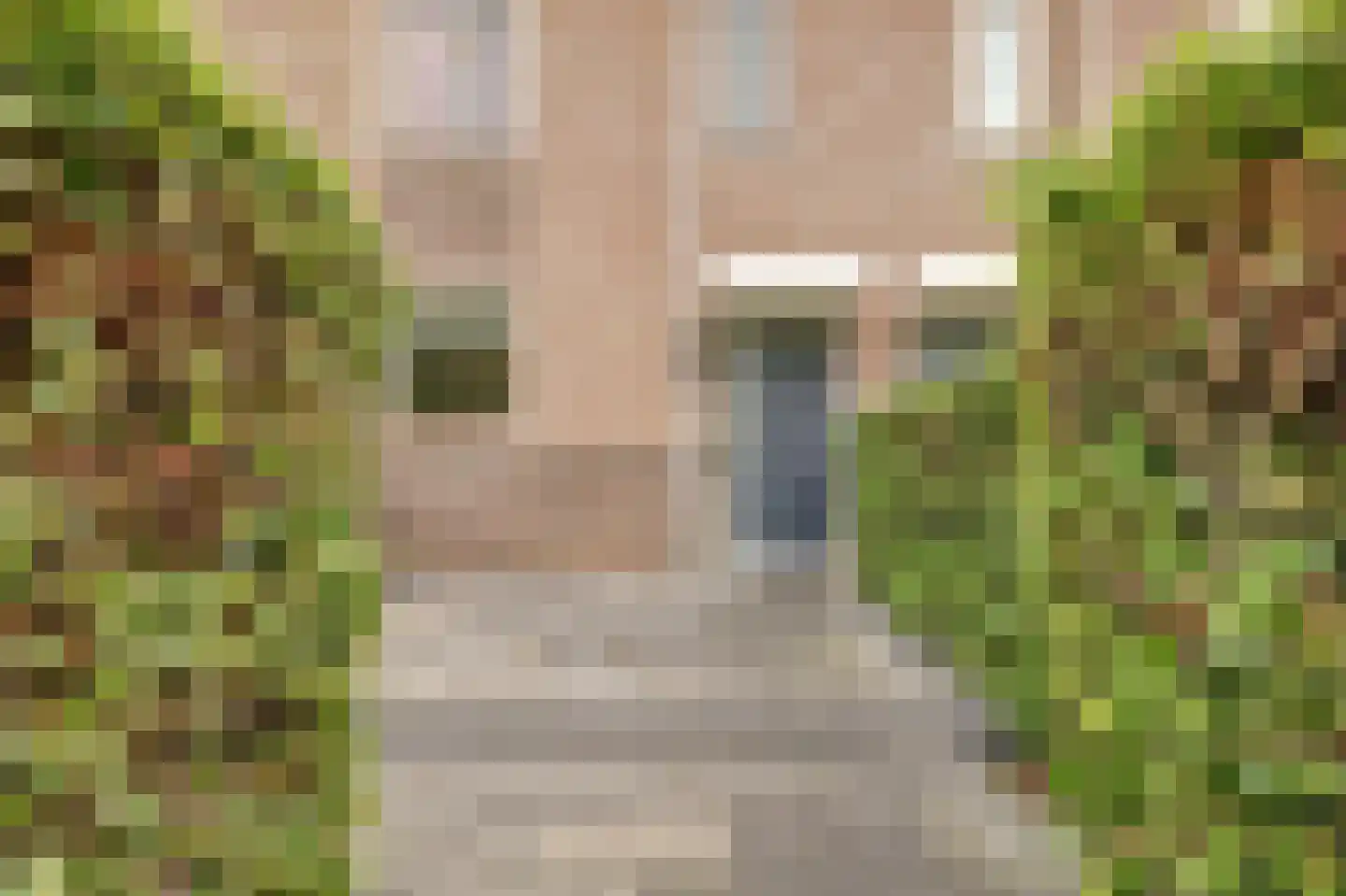 Henriëtte Bosmansstraat 7 Gorinchem thumbnail 8