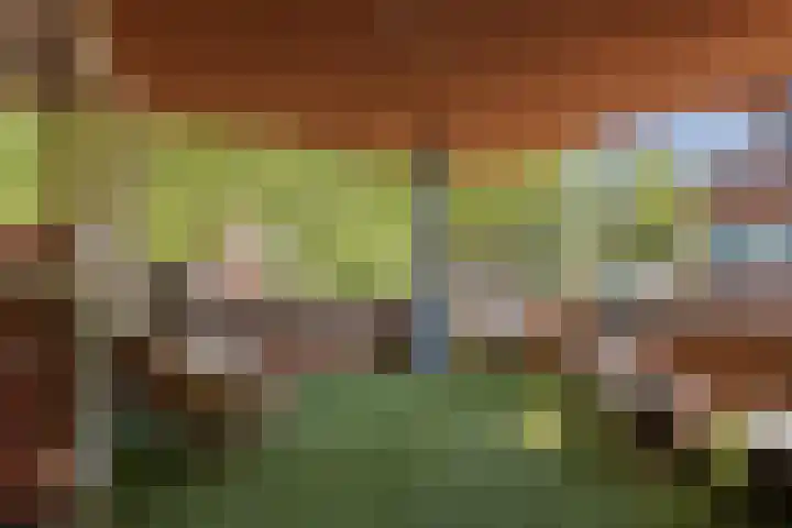 Henriëtte Keggehof 1 Den Haag thumbnail 12