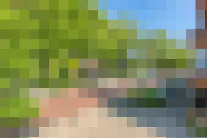 Henriëtte Keggehof 1 Den Haag thumbnail 15