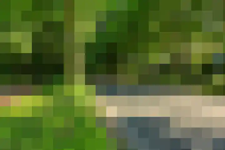 Henriëtte Keggehof 1 Den Haag thumbnail 39