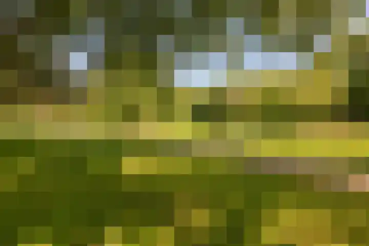 Henriëtte Keggehof 1 Den Haag thumbnail 40