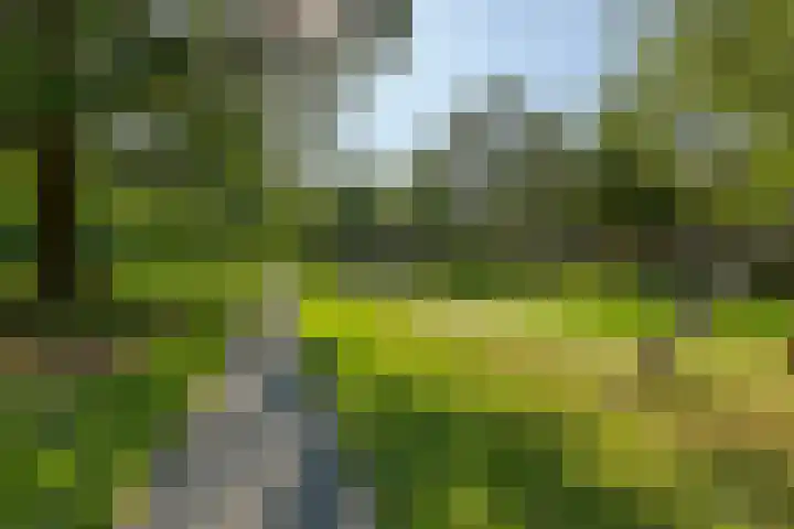 Henriëtte Keggehof 1 Den Haag thumbnail 43