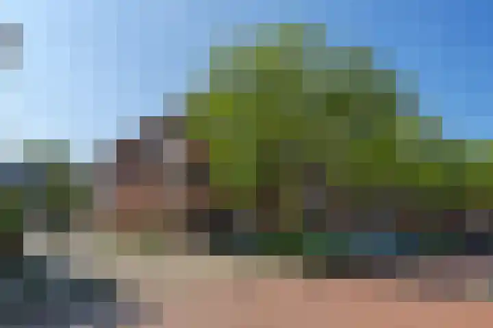 Henriëtte Keggehof 1 Den Haag thumbnail 50