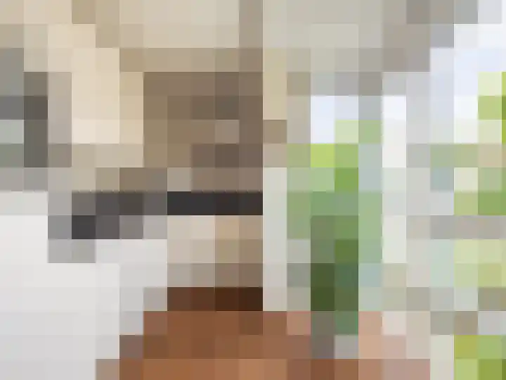 Henriette Polaklaan 110 Zutphen thumbnail 12