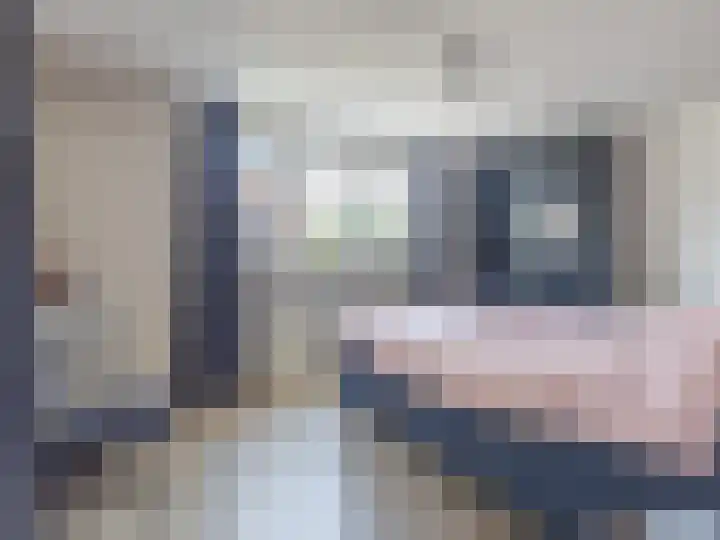 Henriette Polaklaan 110 Zutphen thumbnail 15