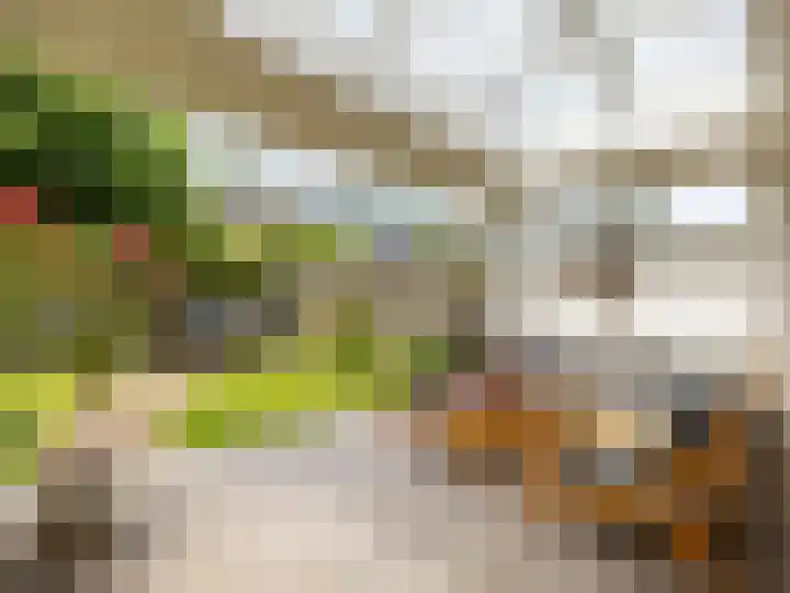 Henriette Polaklaan 110 Zutphen thumbnail 23