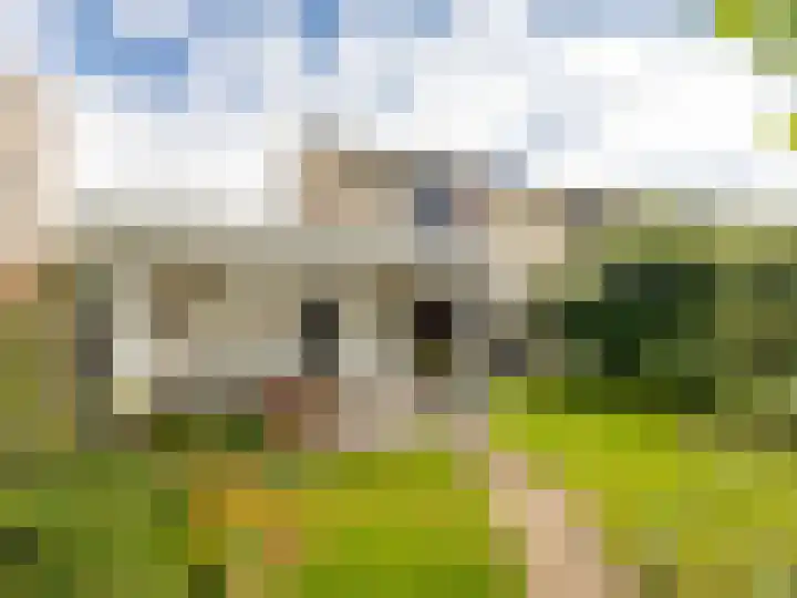 Henriette Polaklaan 110 Zutphen thumbnail 27