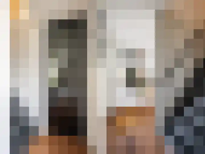 Henriette Polaklaan 110 Zutphen thumbnail 4