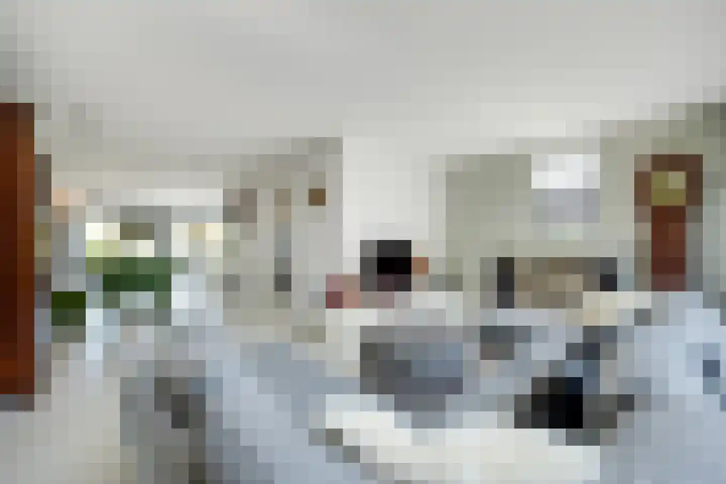 Henriette R.Holstlaan 19 's-Hertogenbosch thumbnail 17