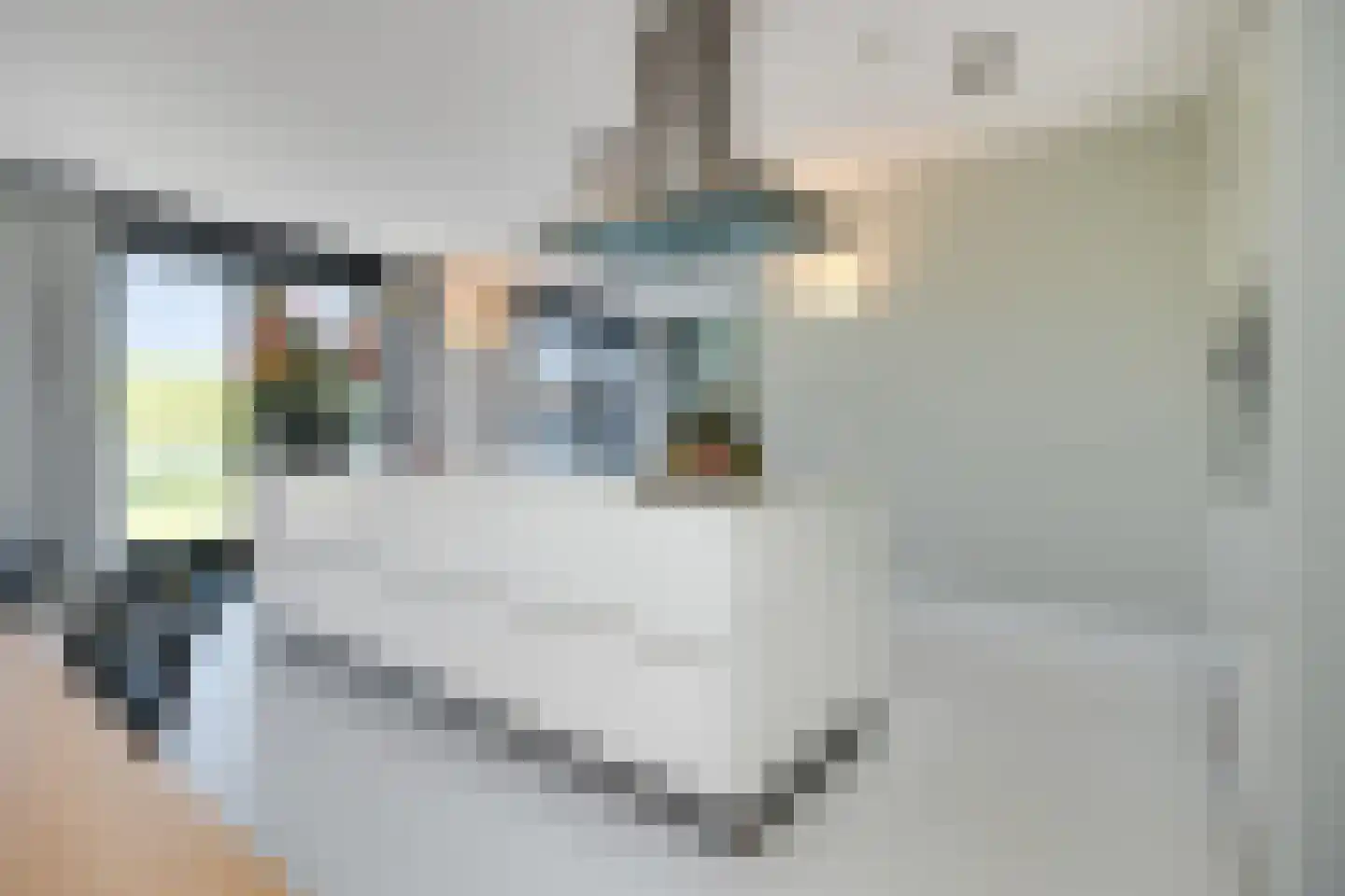 Henriette R.Holstlaan 19 's-Hertogenbosch thumbnail 24
