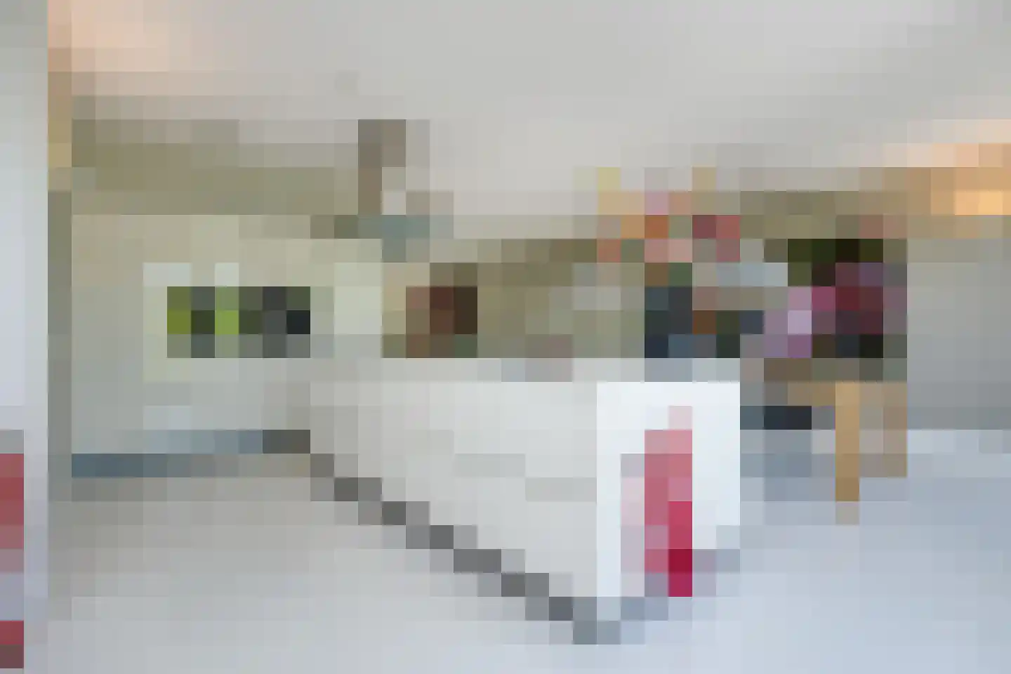 Henriette R.Holstlaan 19 's-Hertogenbosch thumbnail 26