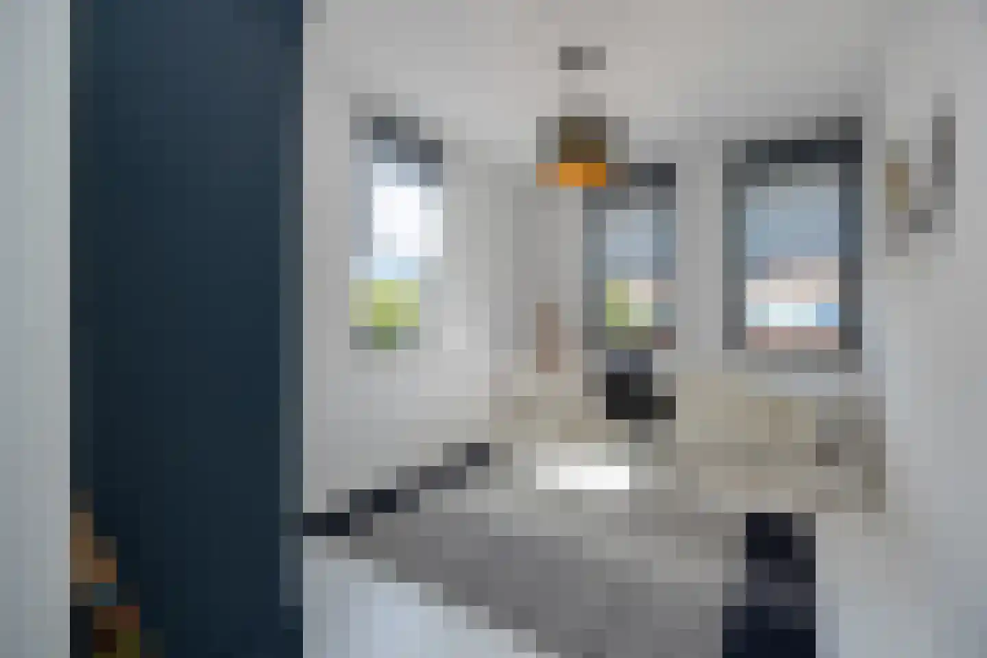 Henriette R.Holstlaan 19 's-Hertogenbosch thumbnail 46