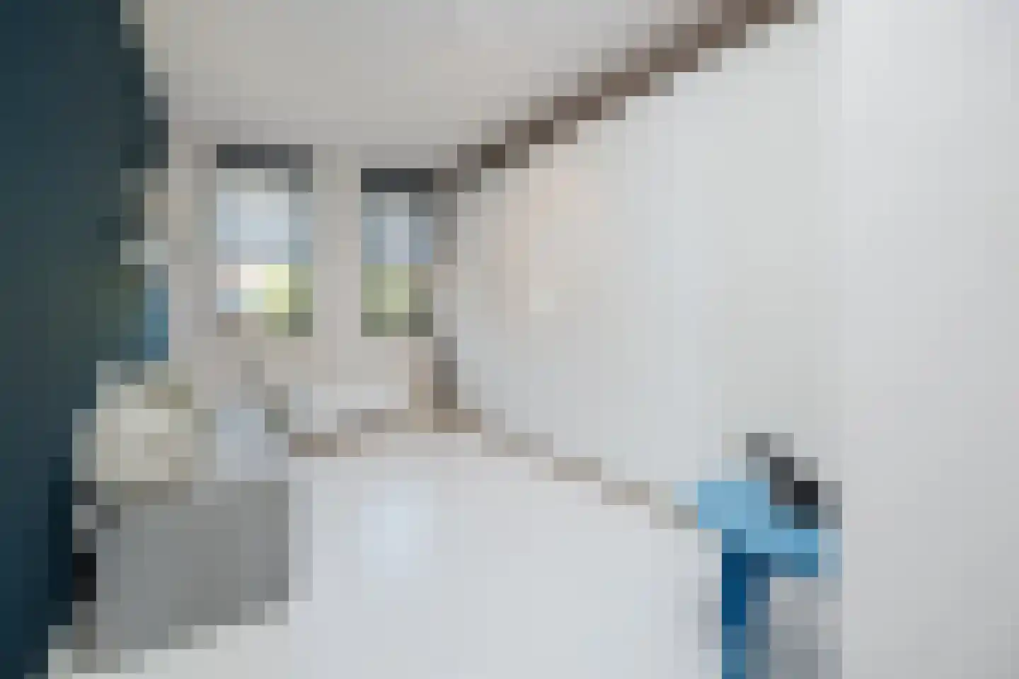 Henriette R.Holstlaan 19 's-Hertogenbosch thumbnail 48