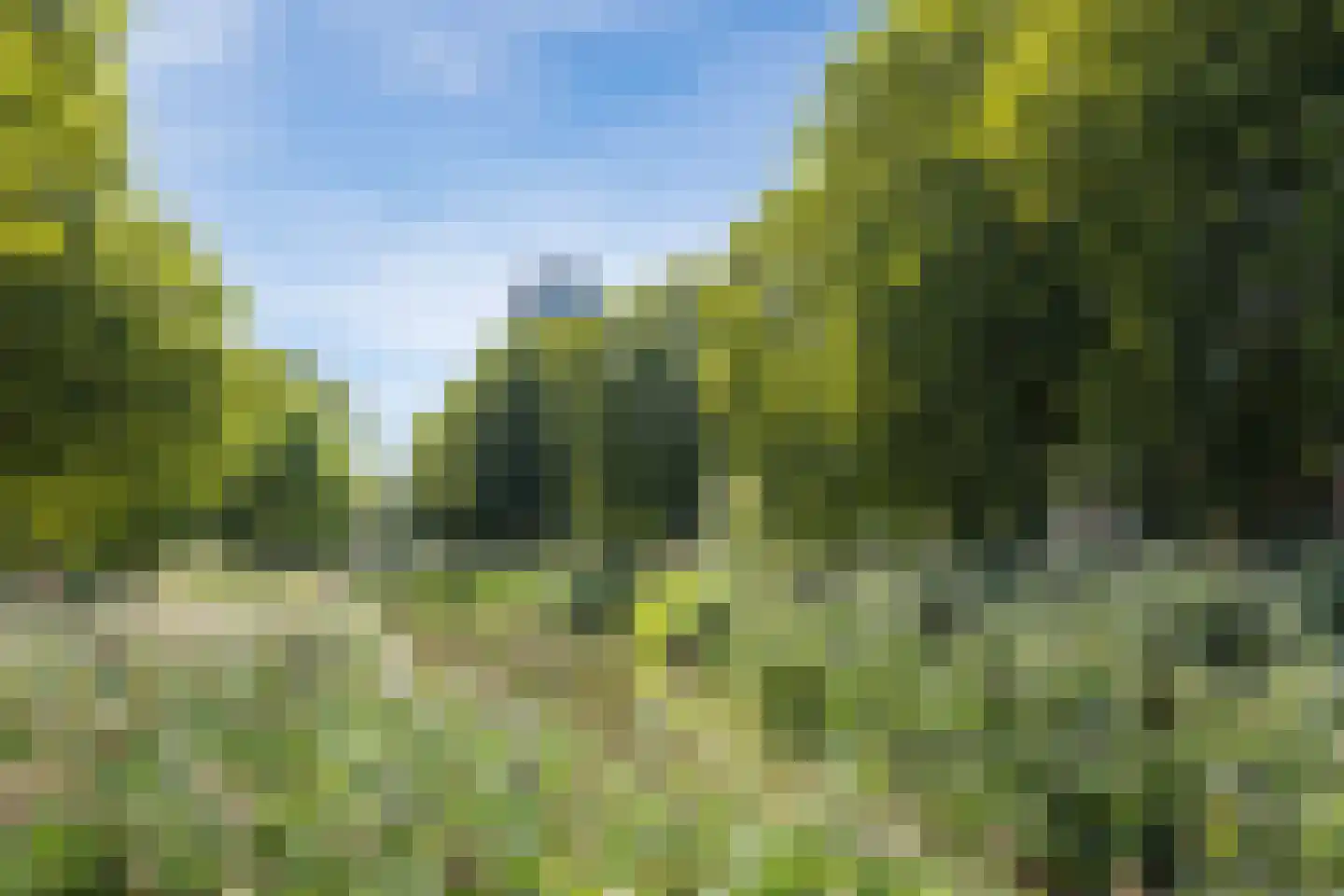 Henriette R.Holstlaan 19 's-Hertogenbosch thumbnail 63