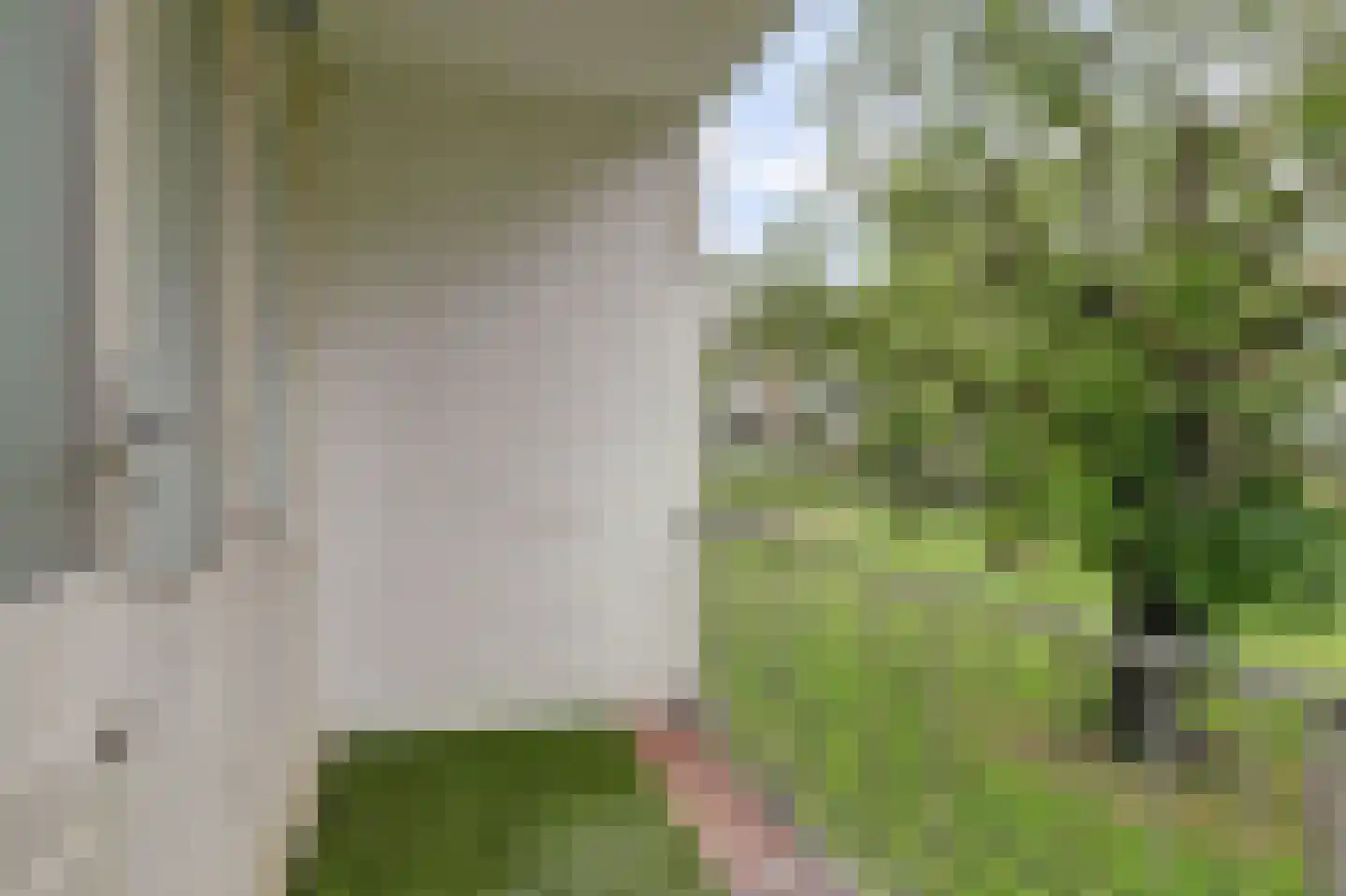 Henriëtte Roland Holsthof 33 Weesp thumbnail 17
