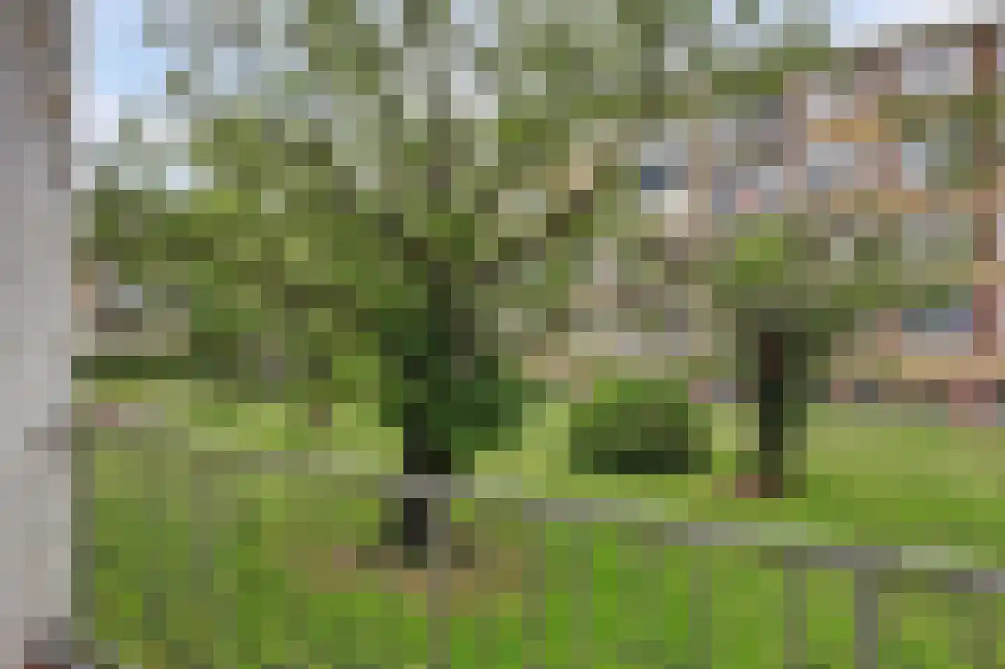 Henriëtte Roland Holsthof 33 Weesp thumbnail 18