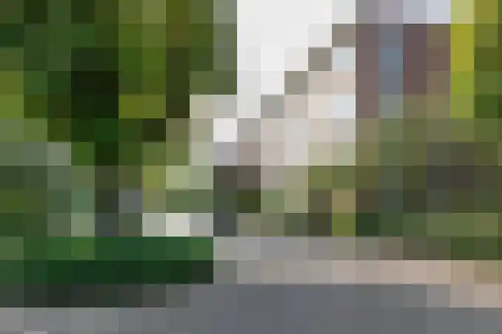 Henriëtte Roland Holsthof 91 Weesp thumbnail 4