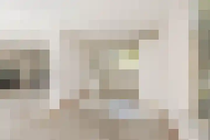 Henriette Roland Holstlaan 1 Lisse thumbnail 11